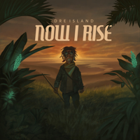 Dre Island - Now I Rise (Deluxe Edition) artwork
