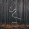 Through Shaded Woods (Deluxe Edition)