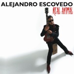 Alejandro Escovedo - Swallows Of San Juan