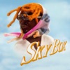 SKYBOX by Gunna iTunes Track 3