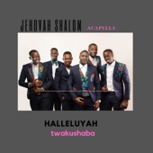 Halleluyah Twakushaba - EP artwork