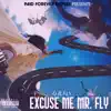Excuse Me Mr Fly album lyrics, reviews, download