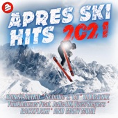 Apres Ski Hits 2021 artwork