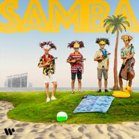 vision string quartet - Samba artwork