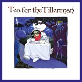 Tea for the Tillerman² artwork
