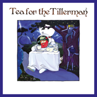 Yusuf - Tea for the Tillerman² artwork