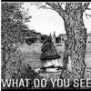 What Do You See - Single