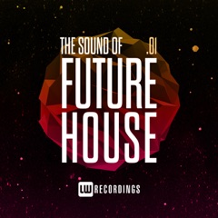 The Sound of Future House, Vol. 01
