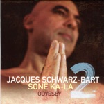 Jacques Schwarz-Bart - Zero Gravity