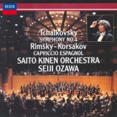 Symphony No. 4 in F Minor, Op. 36: IV. Finale (Allegro con fuoco) artwork