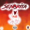 Senorita - Single