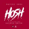 Hosh (feat. Golden Krish) - Single album lyrics, reviews, download