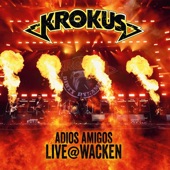 Adios Amigos Live @ Wacken artwork