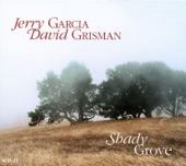 Jerry Garcia & David Grisman - Jackaroo