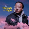 Through the Night - Single