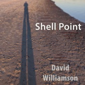 David Williamson - Shell Point (feat. Brave Water, Illnomadic & Ka'ahele)