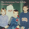 The Christmas Tree Is Fake - Single