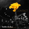 Contact - Single