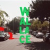 Wallace - Single