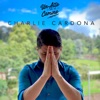 Un Alto en el Camino - Single