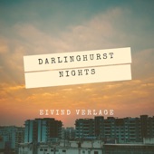Darlinghurst Nights artwork