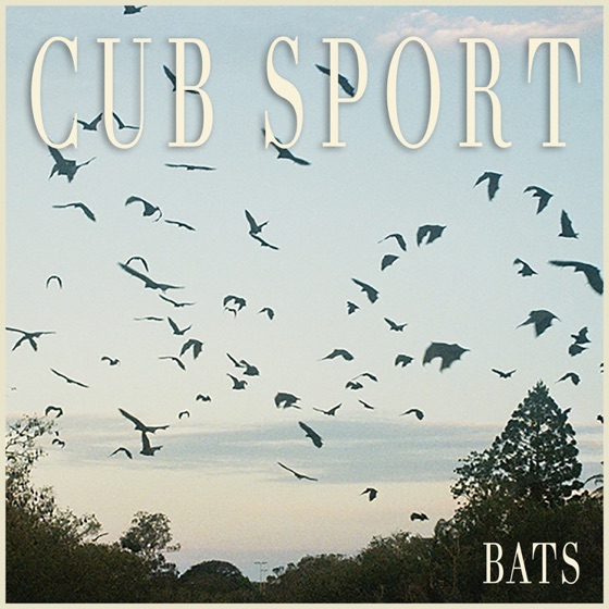 Cover artwork for Bats