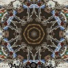 Daniel Meoli - Dream With Your Eyes Open