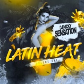 Latin Heat Live Mix 5 artwork
