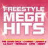 Freestyle Mega Hits (Continuous DJ Mix By Vicious Vic), 2005