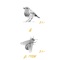 Birdz & Beez (feat. TYSM) - dsko lyrics
