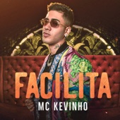 Facilita artwork