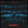 Sorry by Alan Walker, ISÁK iTunes Track 2