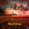 King of Indiana album lyrics, reviews, download
