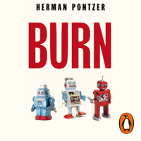 Herman Pontzer - Burn artwork