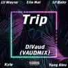 Trip (Remix) - Single album lyrics, reviews, download