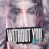 Without You (feat. Josh Sahunta) artwork