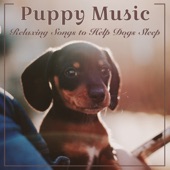 Puppy Music: Relaxing Songs to Help Dogs Sleep artwork