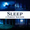 Stream & download Sleep: # Forest Sounds