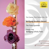 The Gaede Trio Series, Vol. 7 artwork