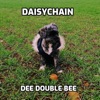 Daisychain