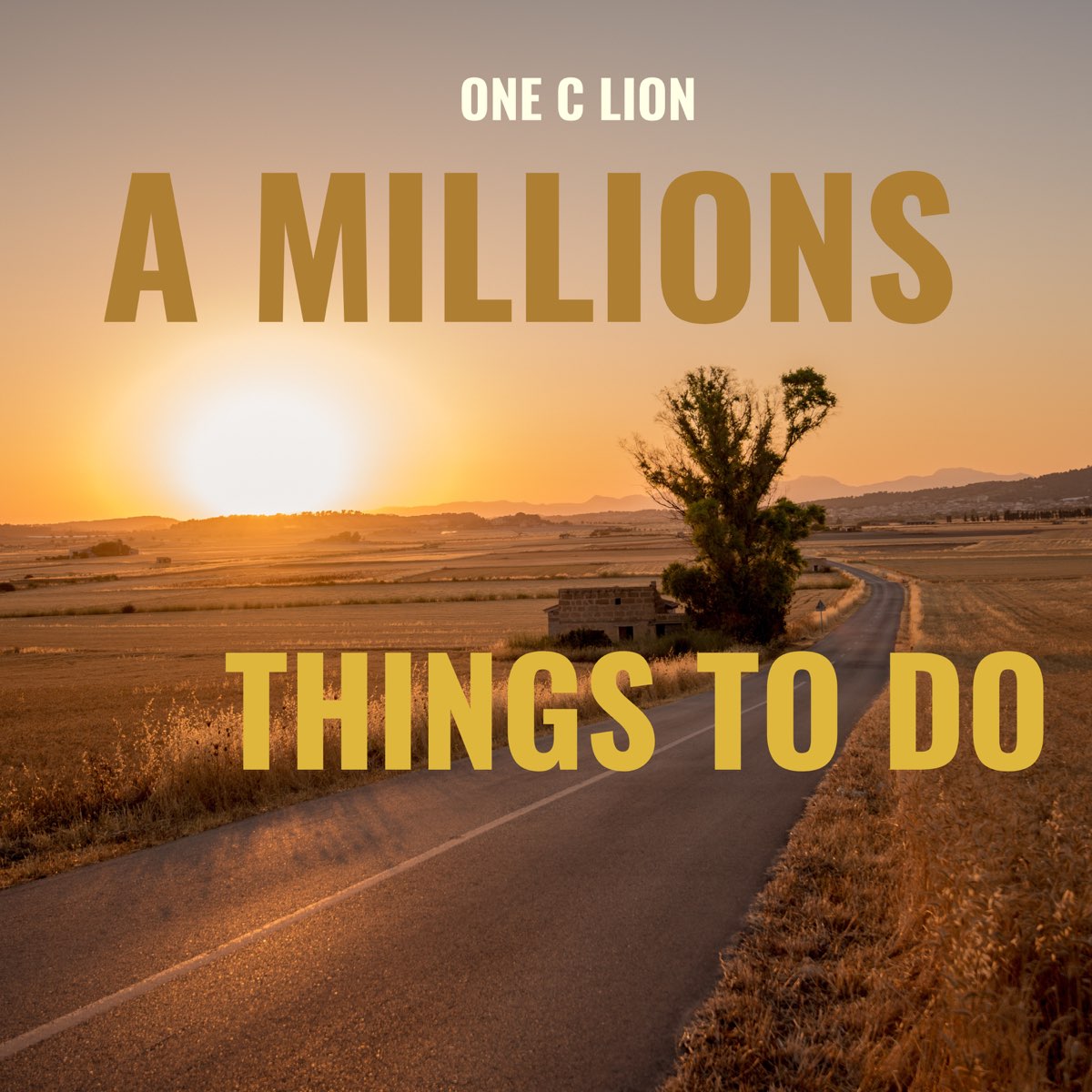 Million things. Лион ,c.