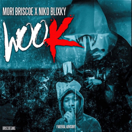 Cover artwork for Wook