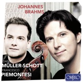 Brahms: Sonatas Opp. 38, 78 & 99 artwork
