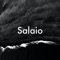 Salaio artwork