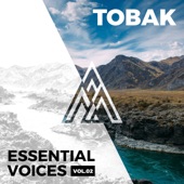 "Essential Voices, Vol. 2" (DJ Mix) artwork