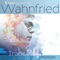 Aphrodesire (feat. Klaus Schulze) - Klaus Schulze's Wahnfried lyrics