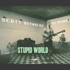 Stupid World by Scott Reynolds album reviews, ratings, credits
