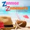 Zonnige Zomerhits 1