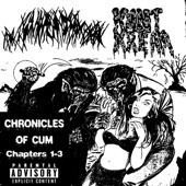 Chronicles of Cum artwork