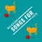 Relax My Cat - Cat Songs lyrics